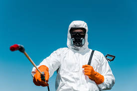 Best Ant Control  in Cave Creek, AZ